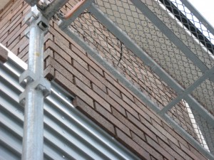 IMG_0330