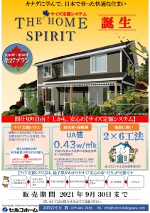 SPIRIT DM (期間延長後版)