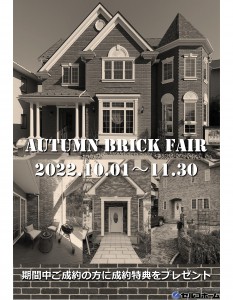 2022autumncampaignDM-01